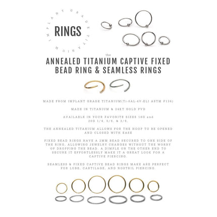 Invictus Titanium Seamless Split Ring