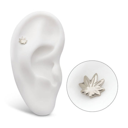 Invictus Titanium Internally Threaded Pot Leaf Top