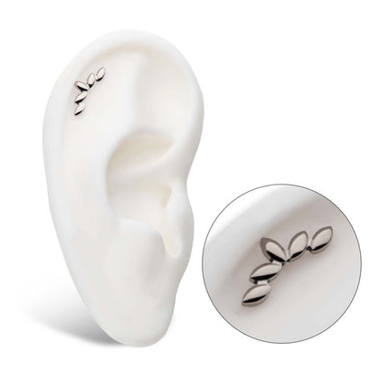 Invictus Titanium Threadless 5-Cluster Fan Shape Top