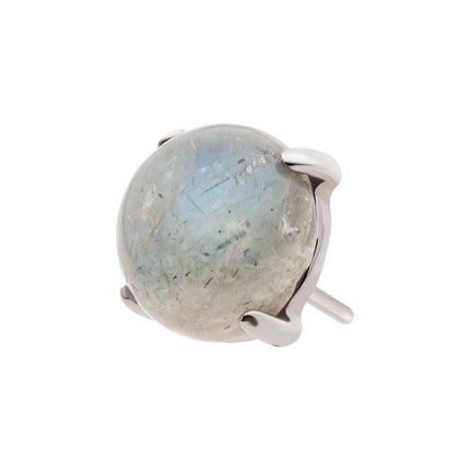 Invictus Titanium Threadless Prong Set Natural Labradorite Stone Top