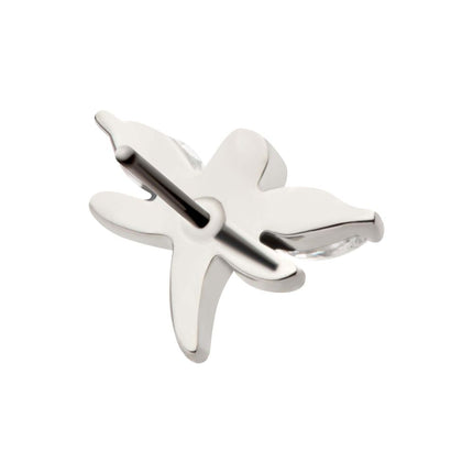 Invictus Titanium Threadless Prong Set Marquise CZ Dragonfly Top